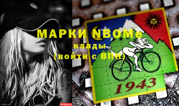 бошки Заполярный