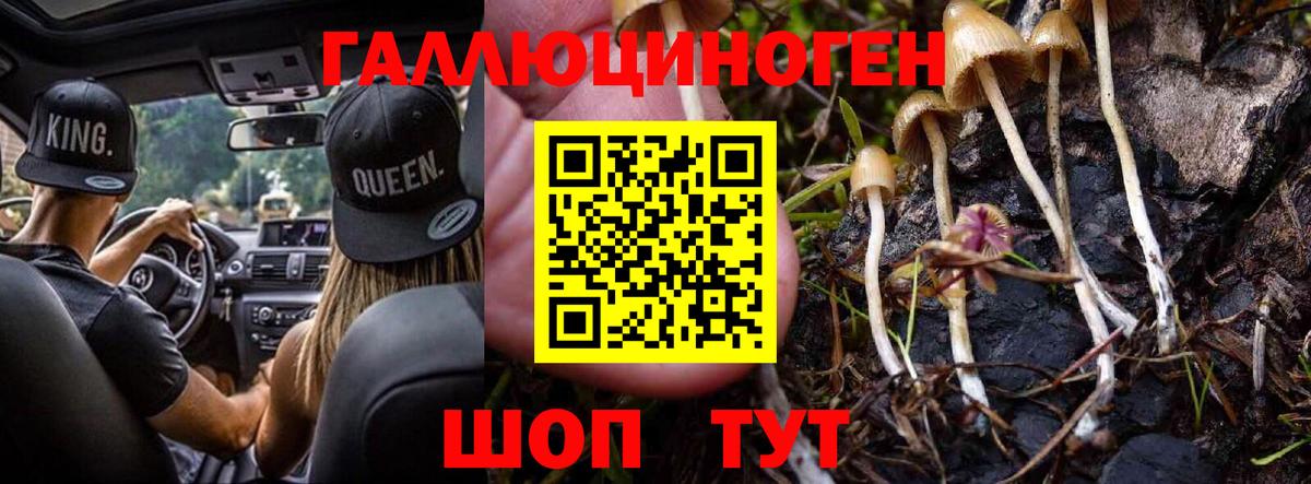 Галлюциногенные грибы Psilocybe  Вход с VPN  Касимов 