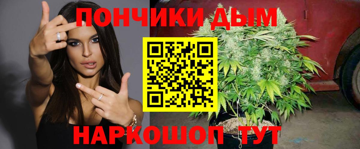 Канабис Amnesia  Вход с VPN  Конопля ГИДРОПОН  Касимов 